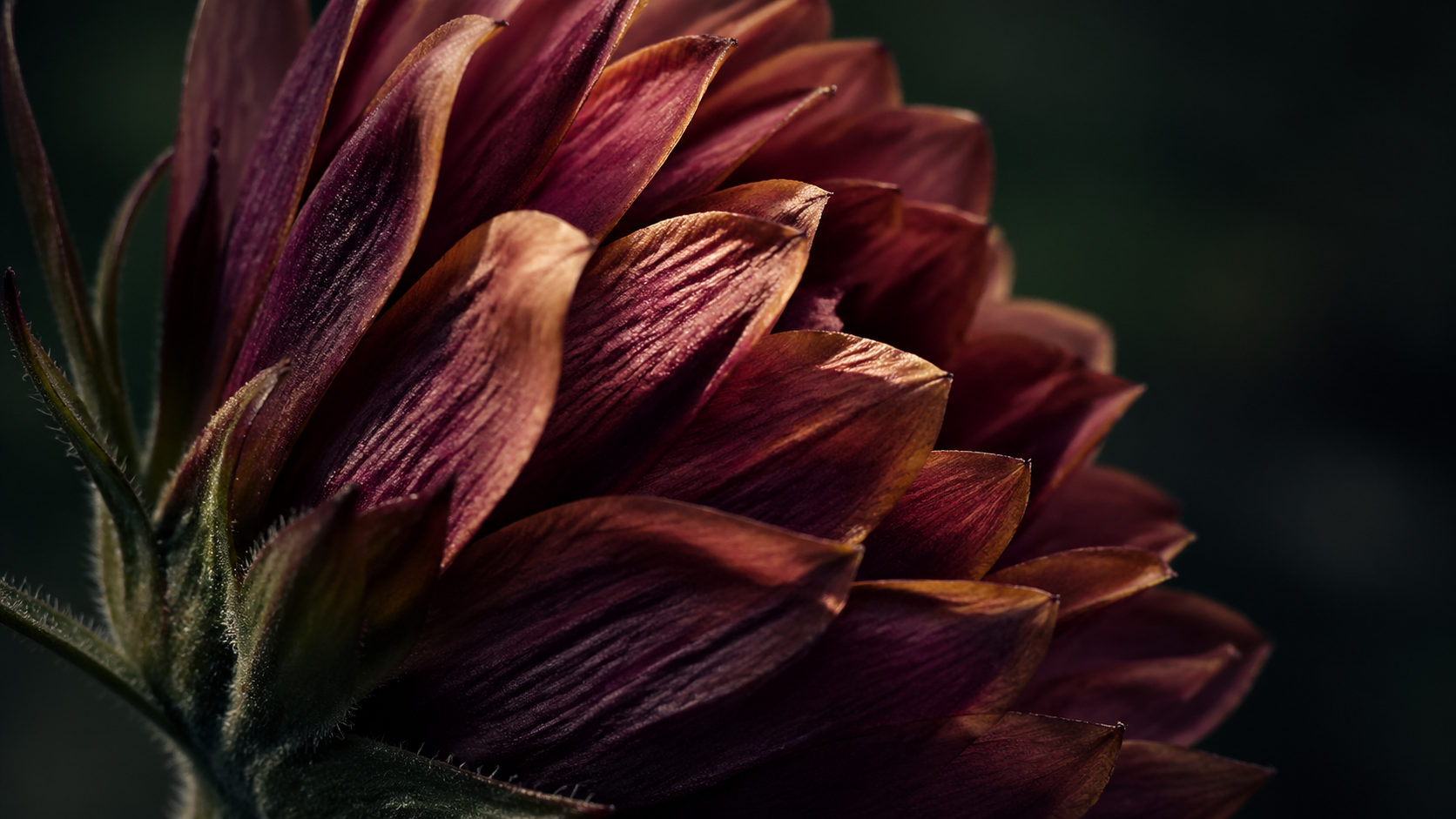 Macro Macro Photography (Nature) AI image generation example 2